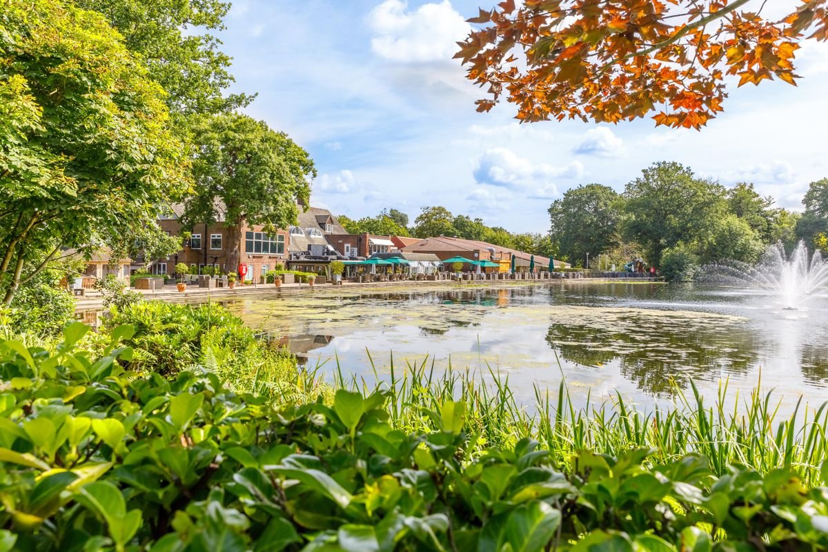 The lake at St George's Hill Lawn Tennis Club